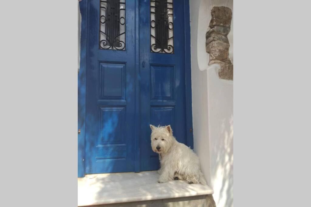 Villa Blue & White: An Absolute Aegean Dream House Galini  Exterior foto
